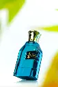 نسايم.webp