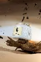 عود غافية.webp